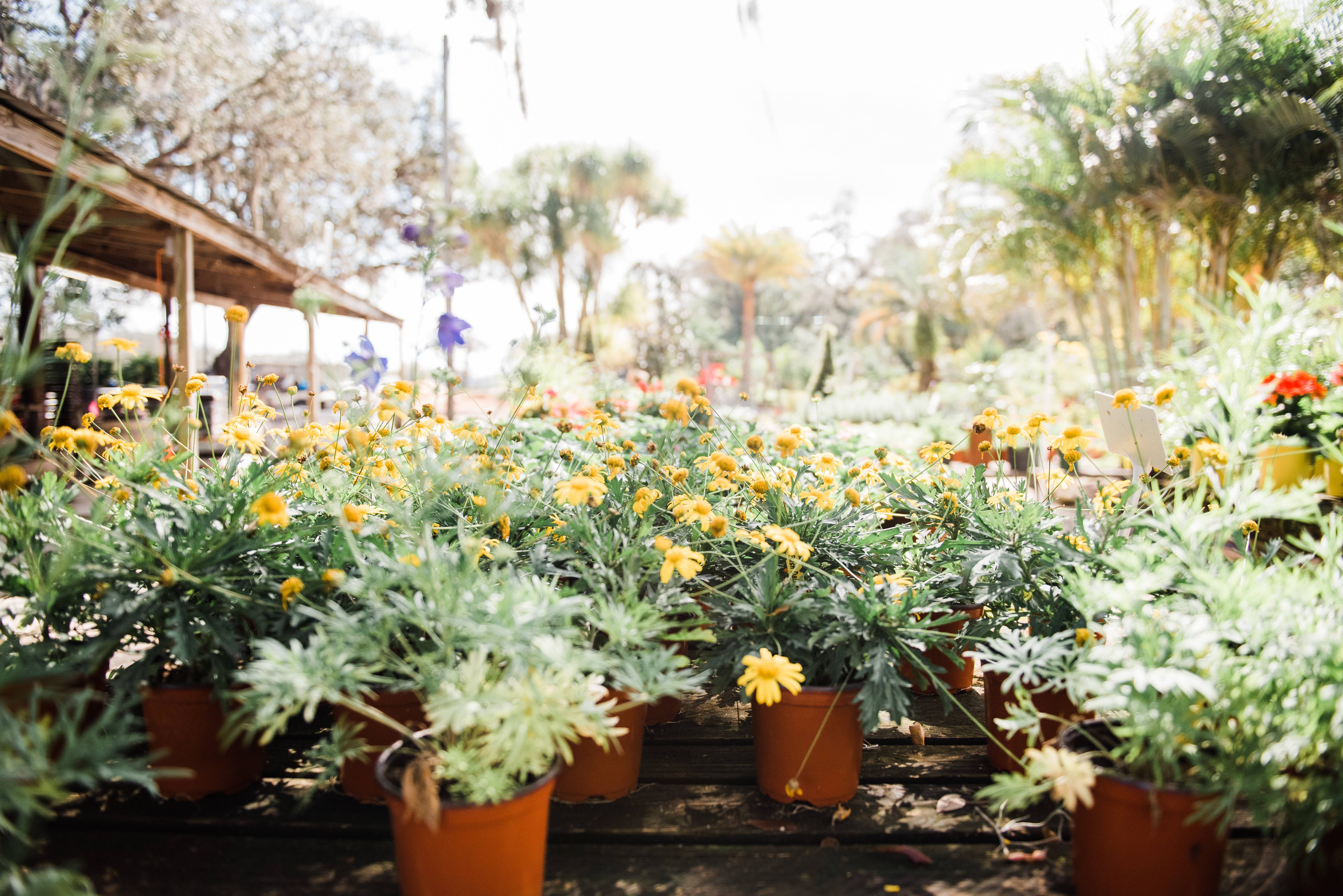 Over 35 Acres filled with plants, trees, flowers and more