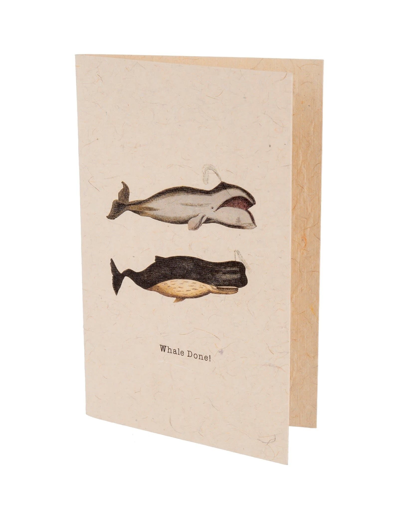 Whale Done Greeting Card