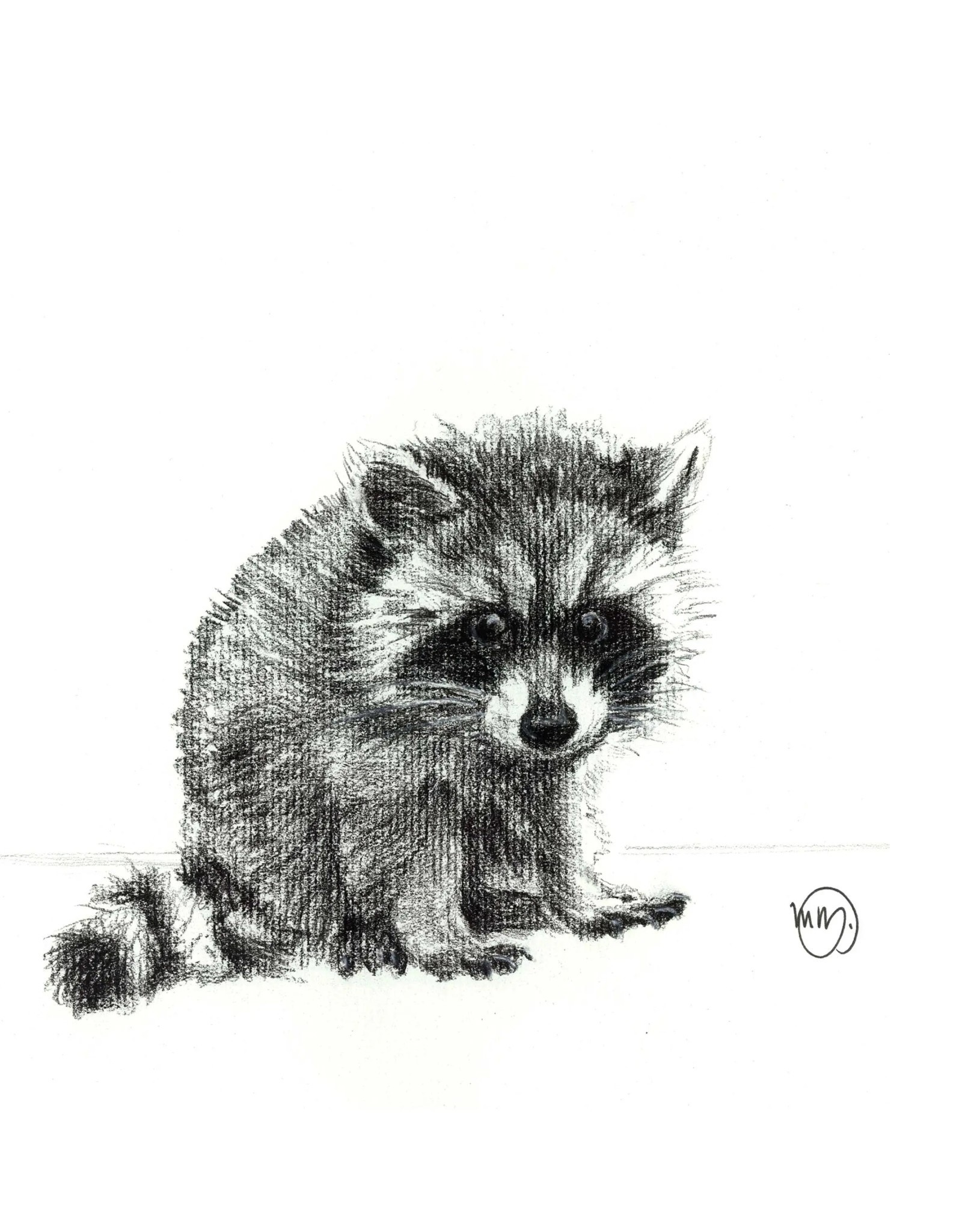 Le Nid - Baby Raccoon Greeting Card