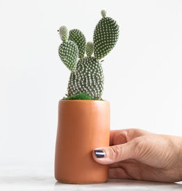 Mini Cactus with Planter #1