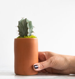 Mini Cactus with Planter #2