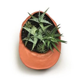 Wyatt Little - Hat Planter