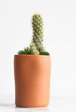 Mini Cactus with Planter #3