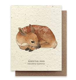 Bower Studio Plantable Wildflower Cards Whitetail Deer