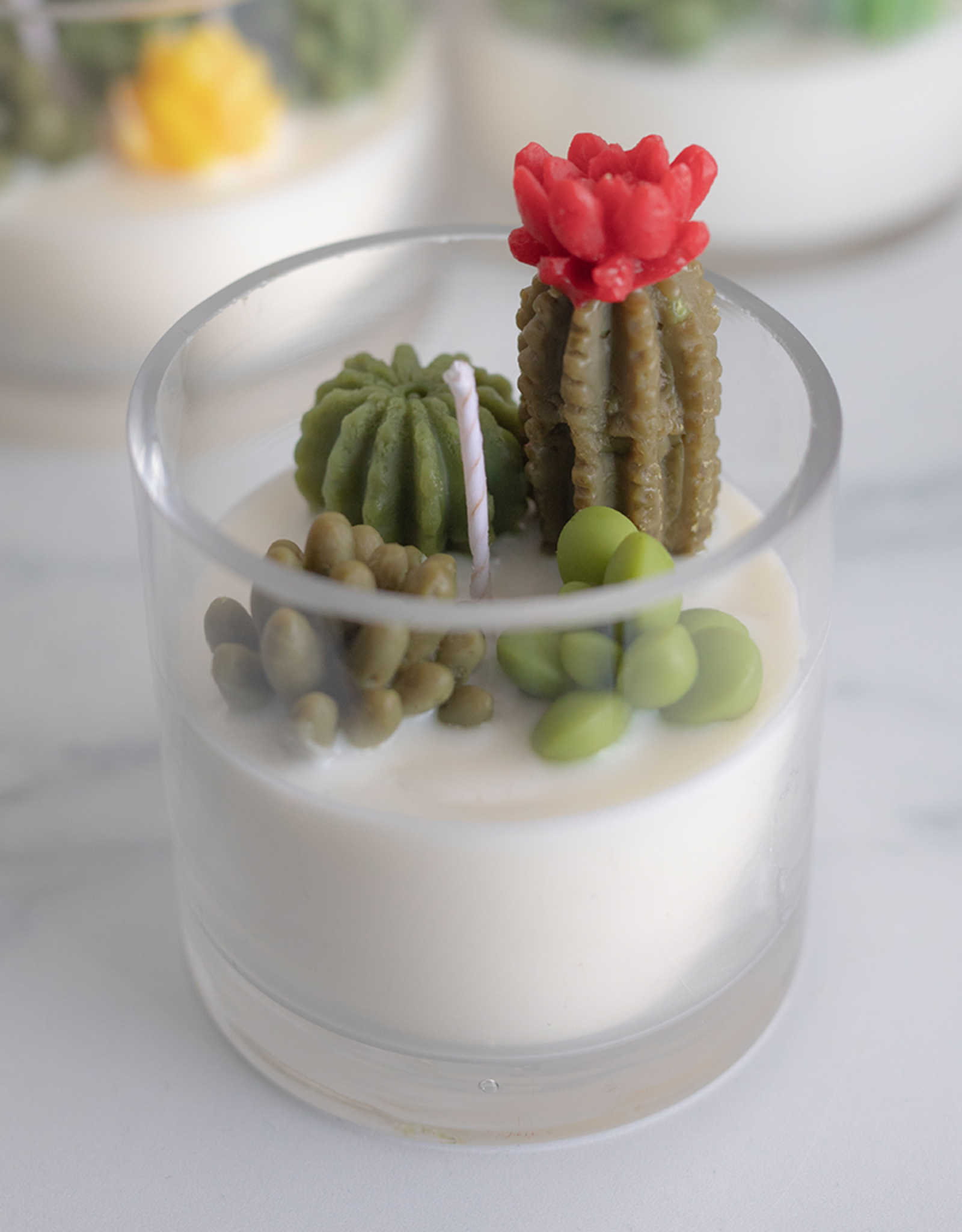 Succulent Candle Small