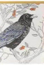 Porchlight Press - Common Raven