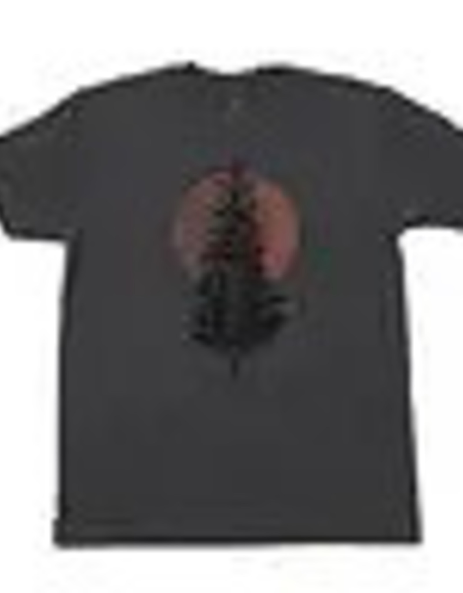 Black Lantern - T-shirt - Map of the Pines - Large