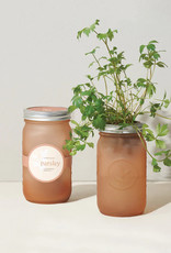 Modern Sprout - Garden Jar - Parsley