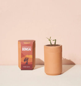 Modern Sprout - Terracotta Kit - Desert Rose Bonsai