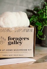 Foragers Valley - Lions Mane Mushroom Grow Kit