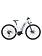 LIV 20 Amiti-E+ 4  White Small- Vélo électrique barre basse