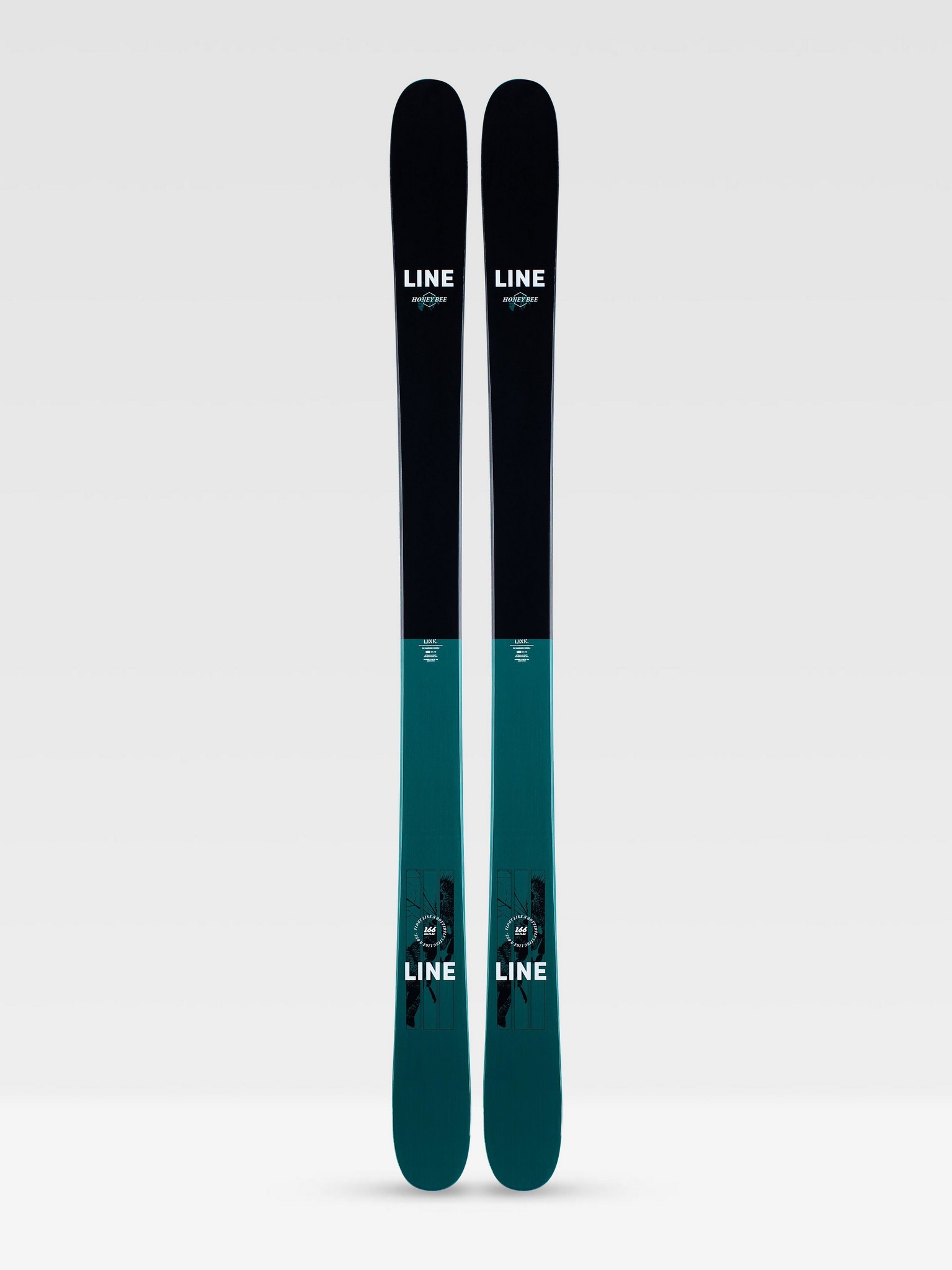 LINE Honey Bee 2021 - Skis alpin