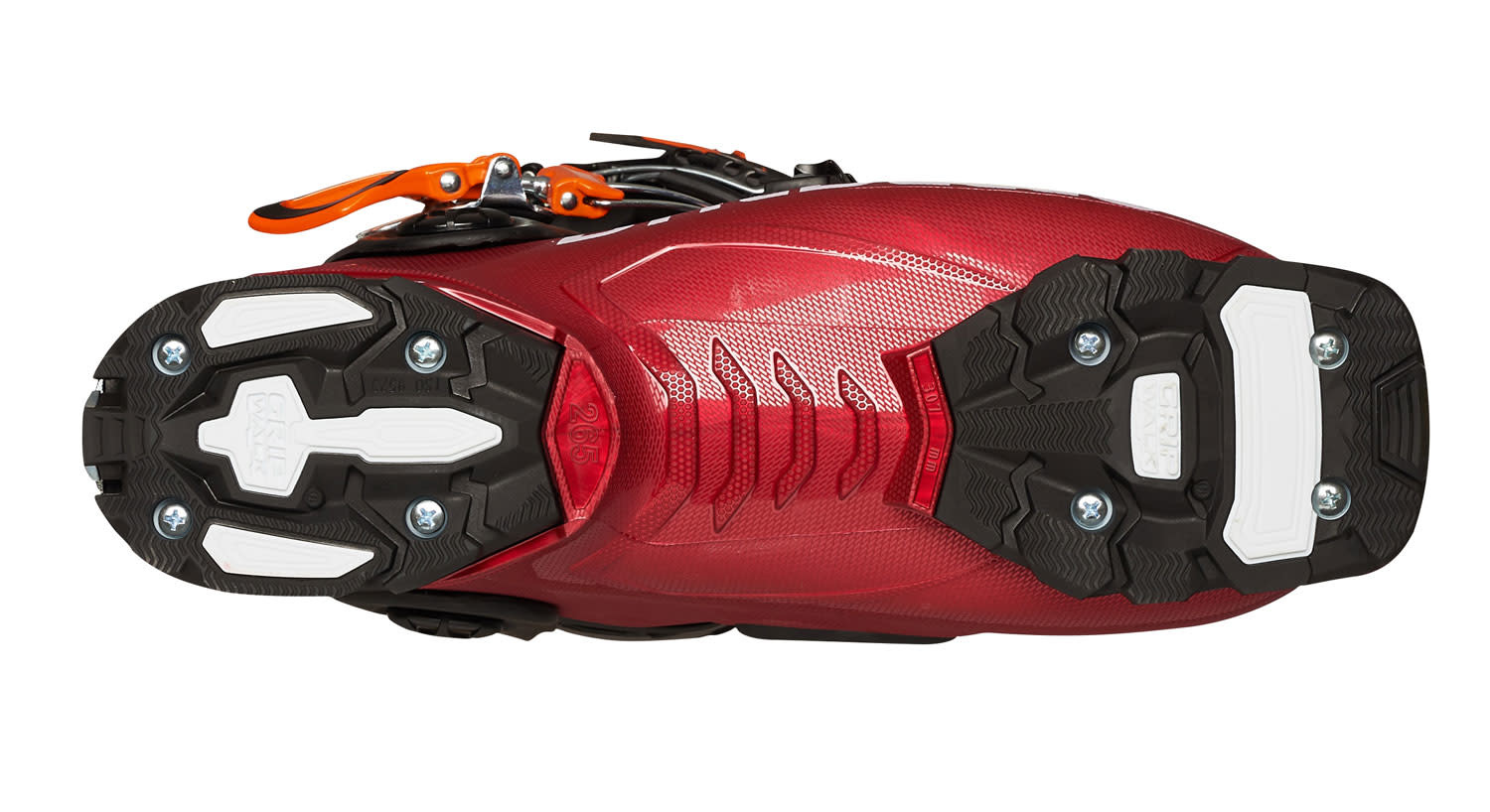 DALBELLO LUPO AX HD 2021