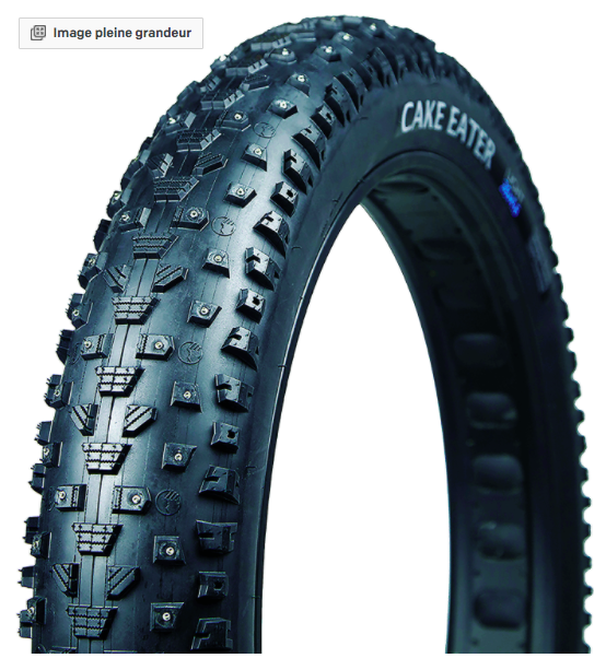 TERRENE Pneu Fat bike Cake Eater 26 x 4.6 180 clous plat