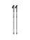 BLACK DIAMOND Vapor 2 - Telescopic ski poles