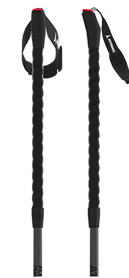 ATOMIC BCT SQS Freeride - Alpine ski pole