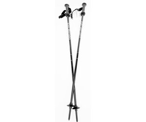 Buy VB Adult Alpine Ski Poles SAP Velogare Sports aux Puces
