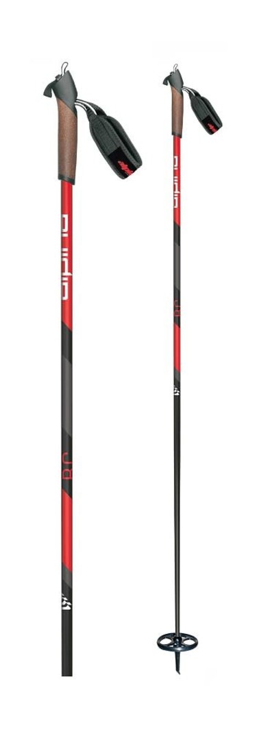 Alpina BC - bâtons de skis de fond hors piste