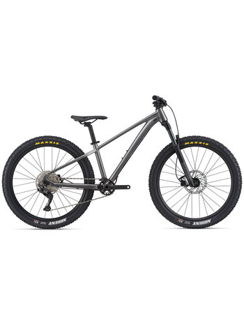 GIANT STP - Junior Mountain Bike
