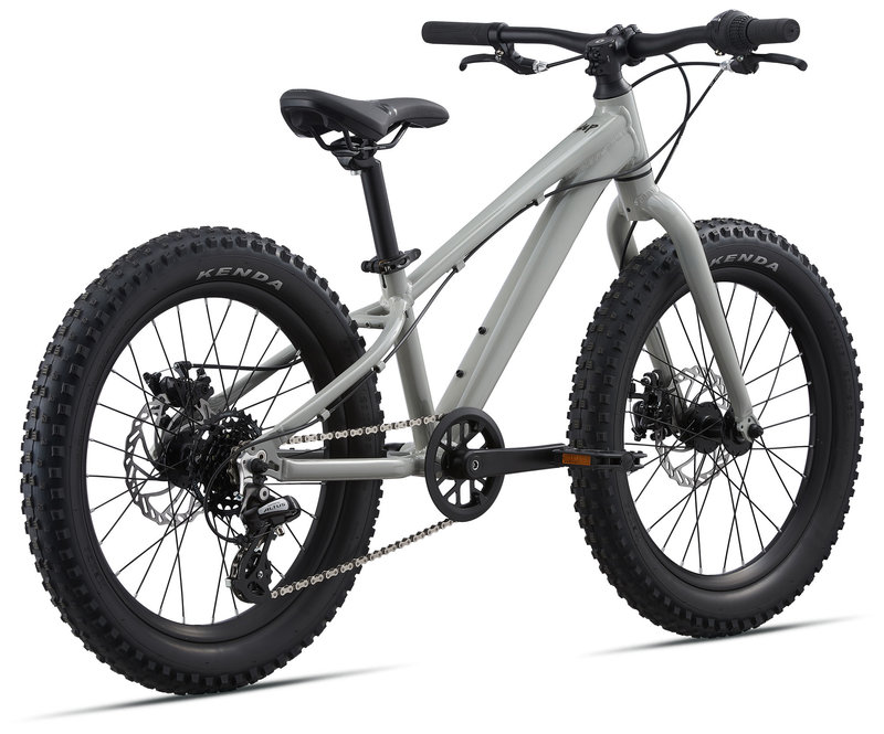 GIANT STP 20 - Children's Mountain Bike - Sports aux Puces VéloGare