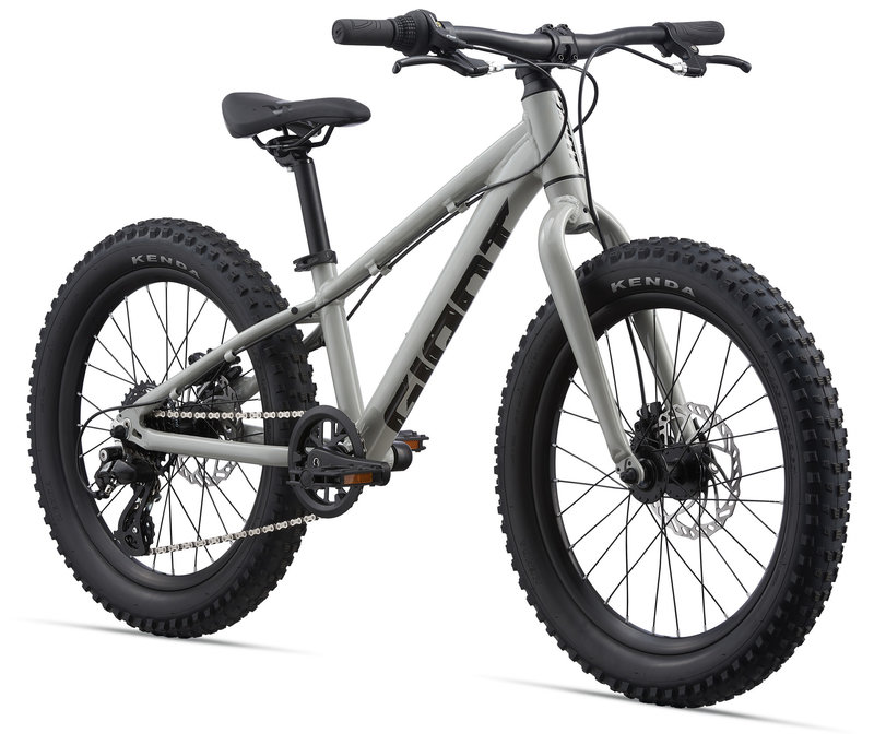GIANT STP 20 Children s Mountain Bike Sports aux Puces V loGare