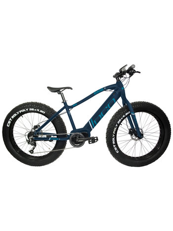 DCO Realfat 350W - Electric Fatbike