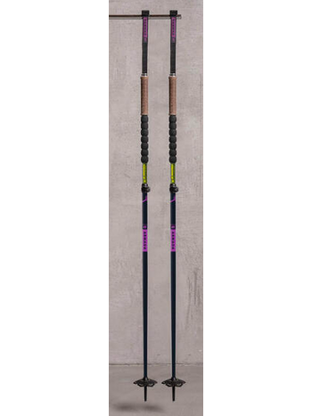 AK Telescopic ski poles Sports aux Puces V loGare