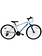 DCO Xzone - Hybrid bike for kids (Bike for season rentral) 12''