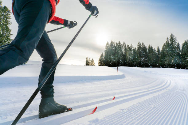 VELOGARE Cross-country ski set adult season