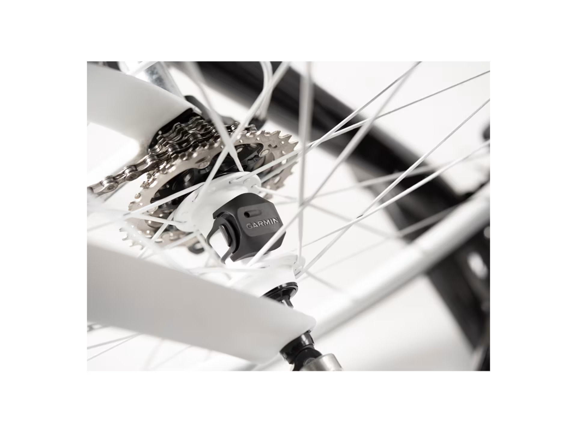 GARMIN Speed sensor 2 and Cadence 2