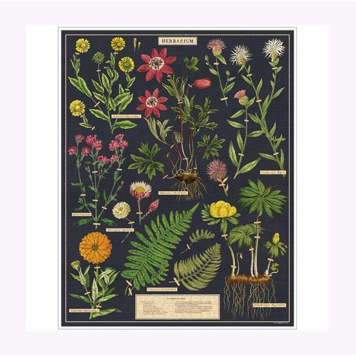 Cavallini Herbarium Puzzle