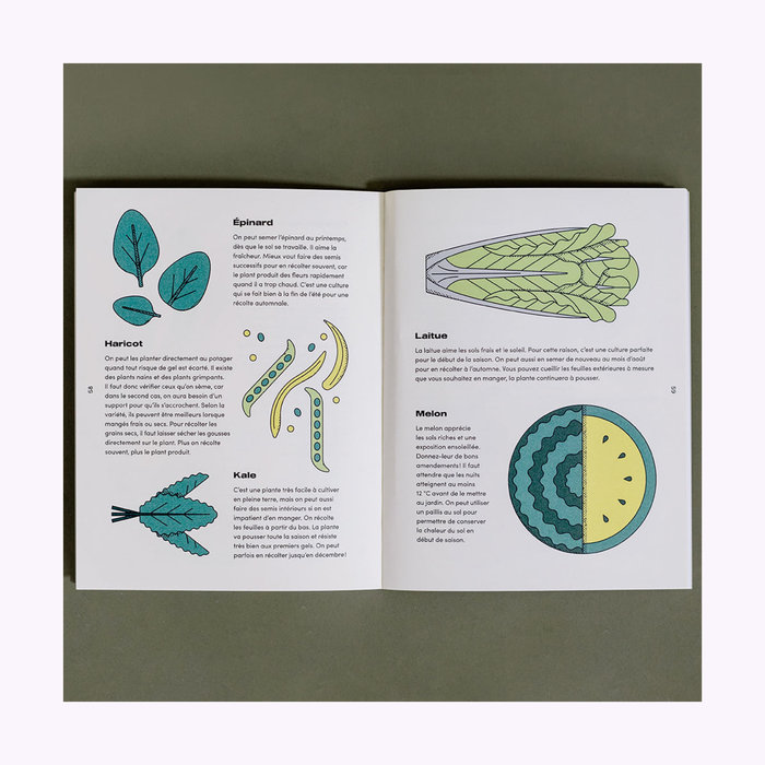 Livre Le Petit Guide illustré du Potager - Nutritioniste Urbain