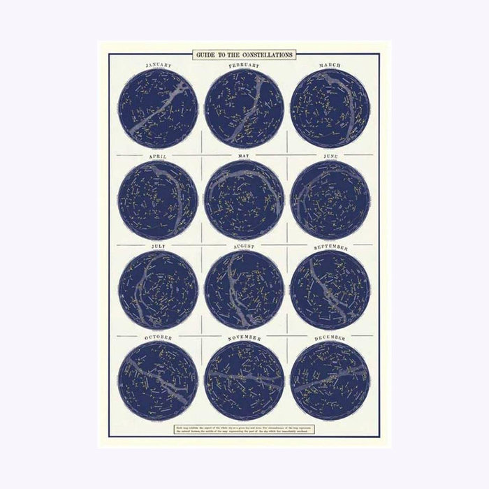 Cavallini Constellations Guide Poster