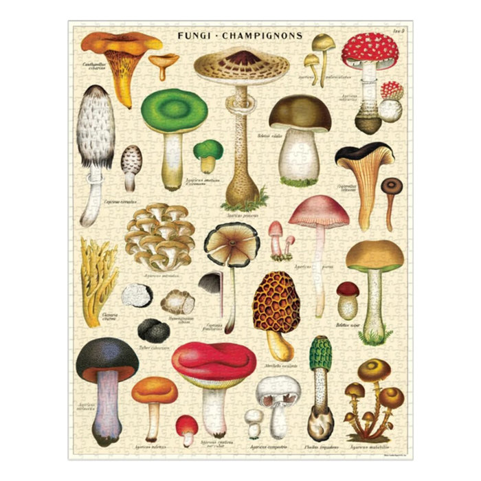 Cavallini Mushrooms Puzzle