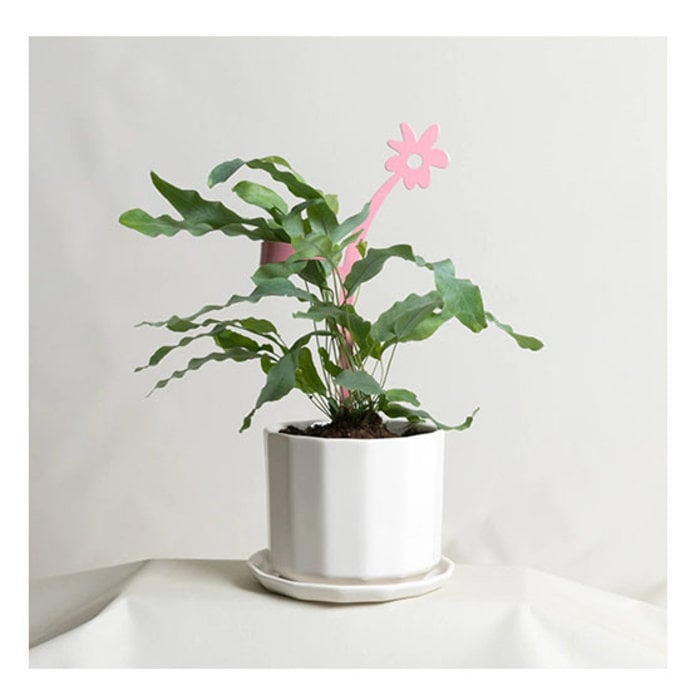 Winona Irene Winona Irene May Flower Pink Plant Stake FINAL SALE