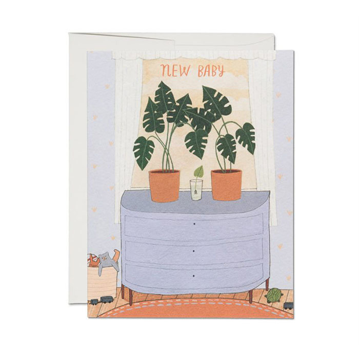 Red Cap Cards Red Cap Cards Nursery Plants Baby Card