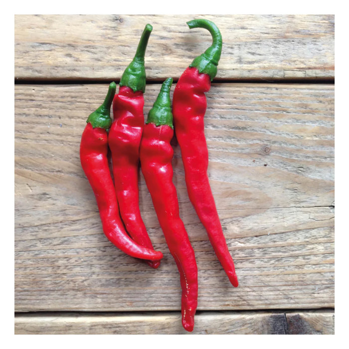 Piccolo Seeds Hot Pepper Seeds (3 Varieties Available)
