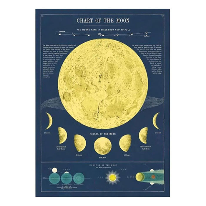 Cavallini Lunar Chart Poster