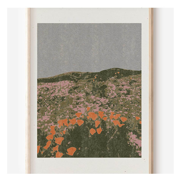 Cocoshalom California Poppies 8 x11 Print
