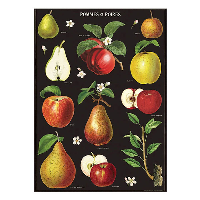 Cavallini Apples and Pears Poster
