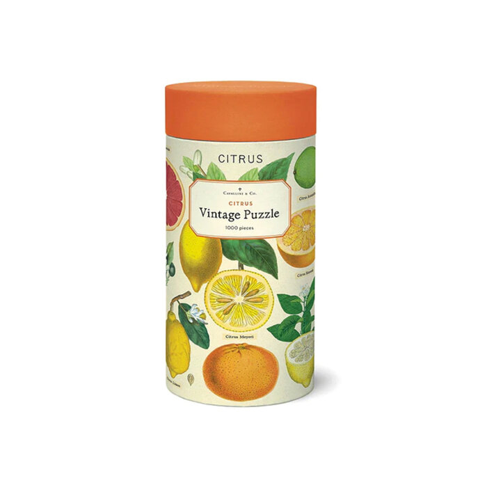 Cavallini Cavallini Citrus Puzzle