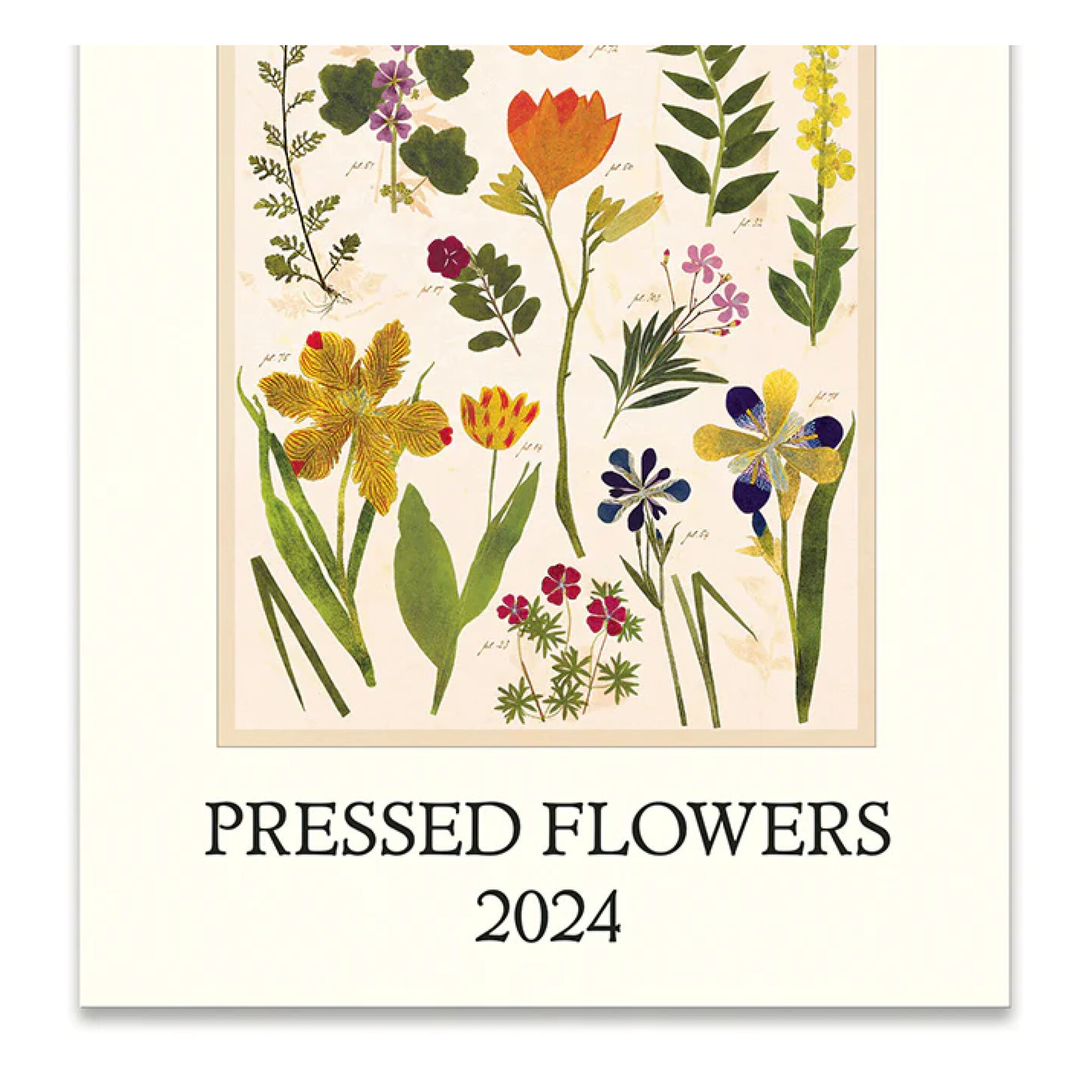 2024 Roses Wall Calendar