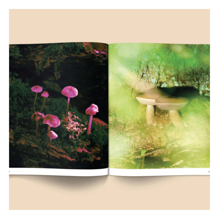 Broccoli Spores Photo Book: Magic Mushrooms