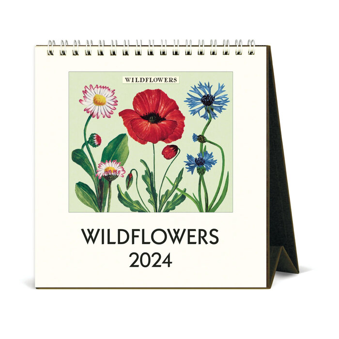 Cavallini Cavallini Wildflowers Desk Calendar 2024 FINAL SALE