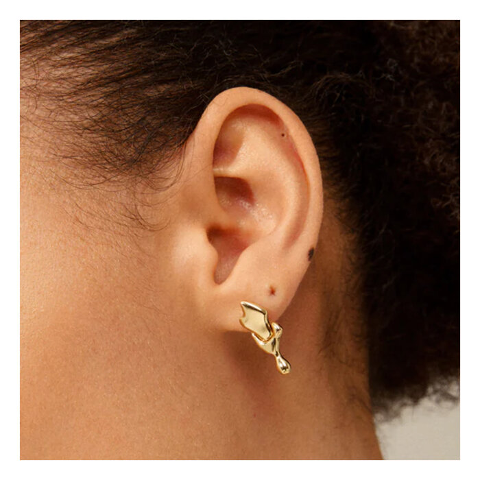 Boucles d'oreilles Anne Pilgrim (Doré ou argenté)