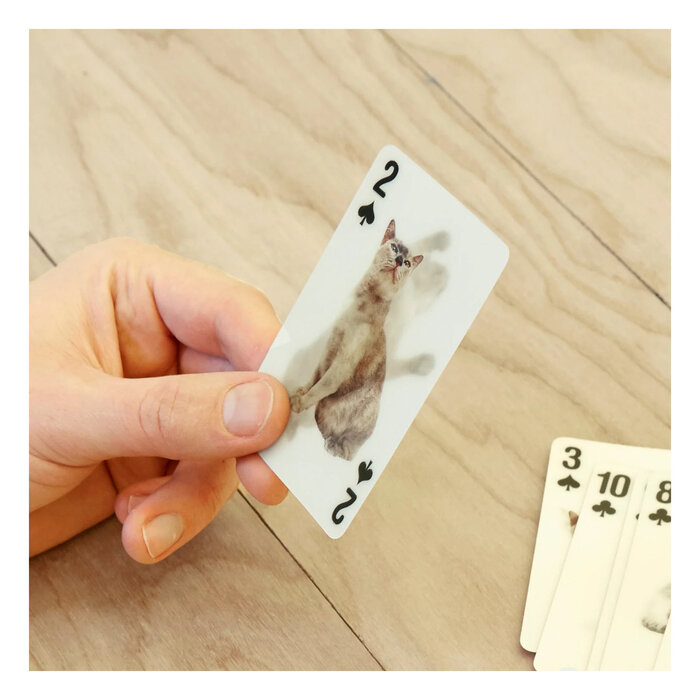 Kikkerland Cats 3D Playing Cards