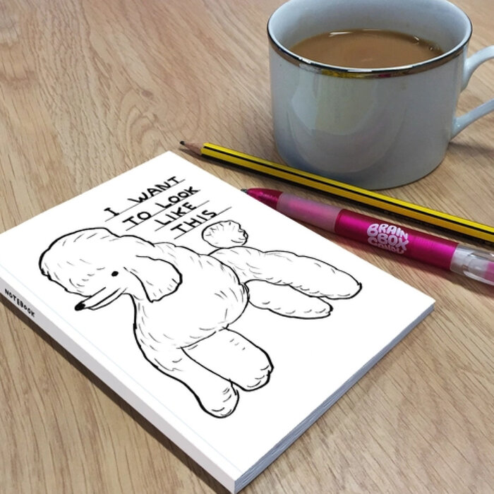 David Shrigley D. Shrigley I Want to Look like This a6 Notebook