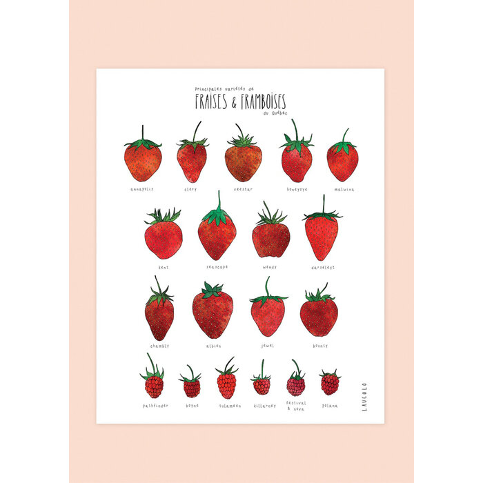 Laucolo 11 x 14 Strawberries & Raspberries Poster