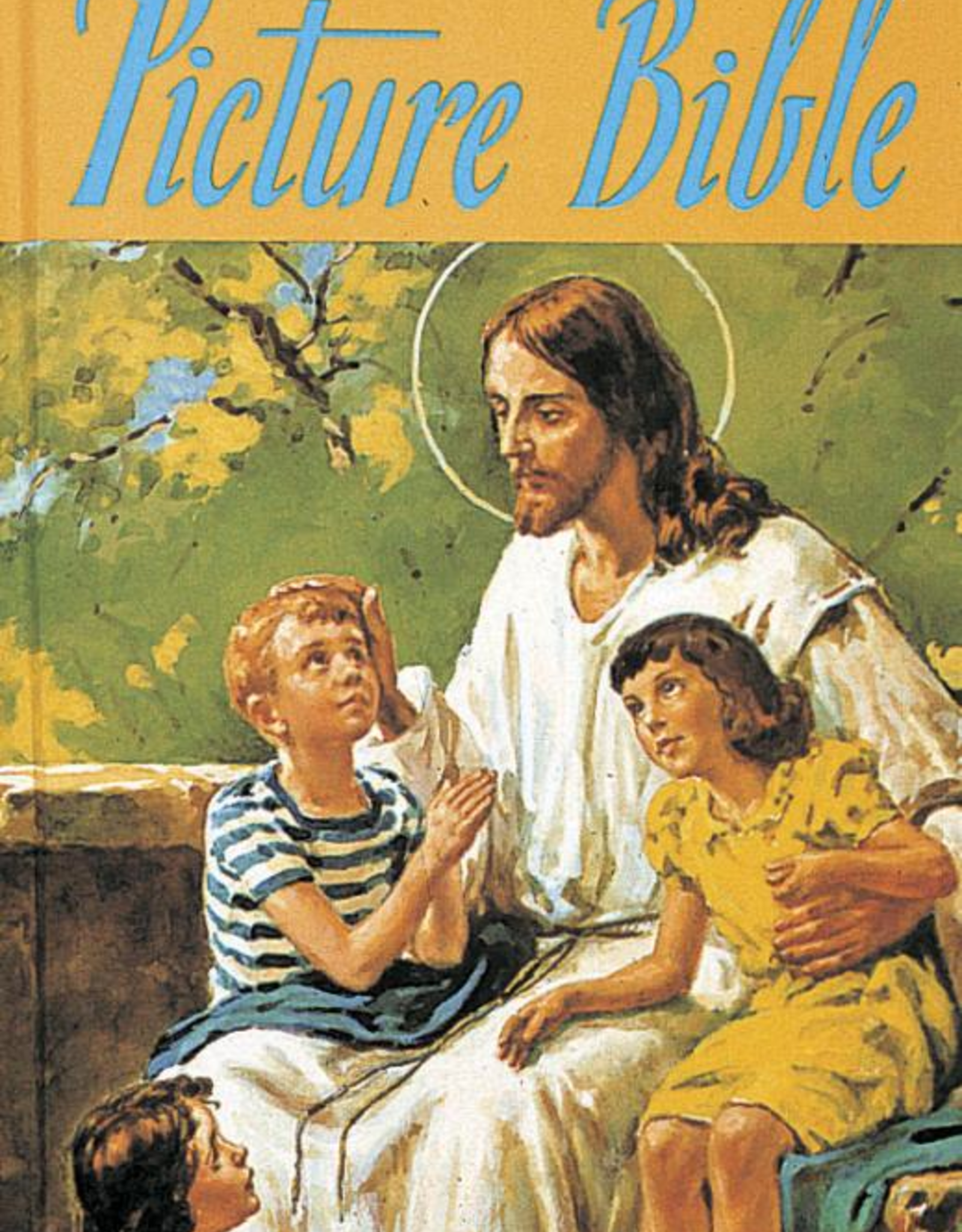 Catholic Book Publishing New Catholic Picture Bible, by Rev. Lawrence Lovasik