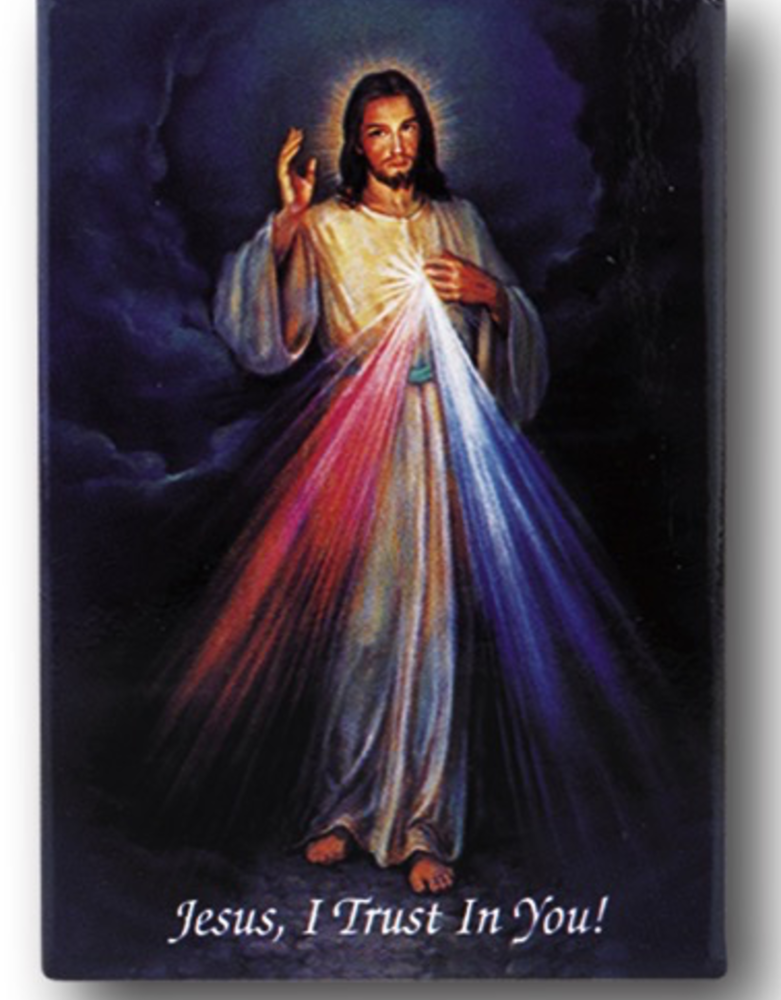 WJ Hirten Divine Mercy Medal Necklace w/ Prayer Card (20‰Û Stainless Steel Chain)
